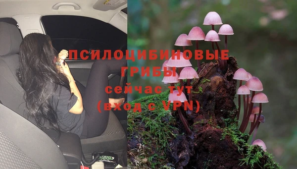 бутик Зерноград