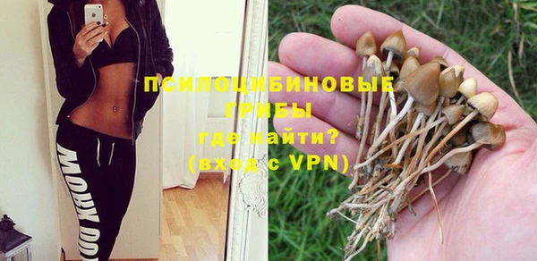 гашик Зеленодольск